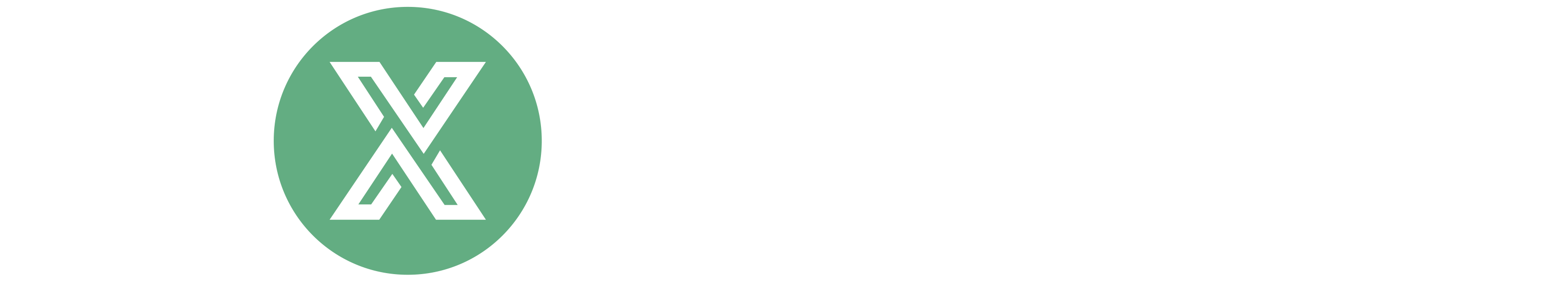 Luxpower-logo222